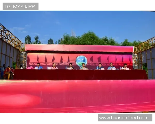 《足球英雄归来 动画全明星赛场激战 球星们的热血青春与梦想》