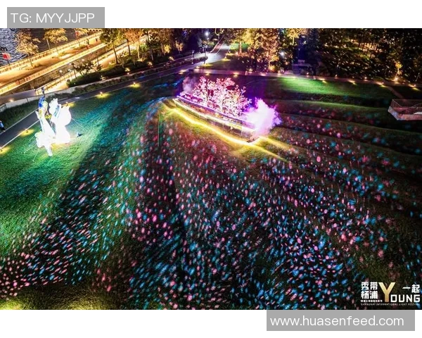 璀璨绿茵巨星闪耀激情点亮夜色足球梦 璀璨绿茵巨星闪耀激情点亮夜色足球梦