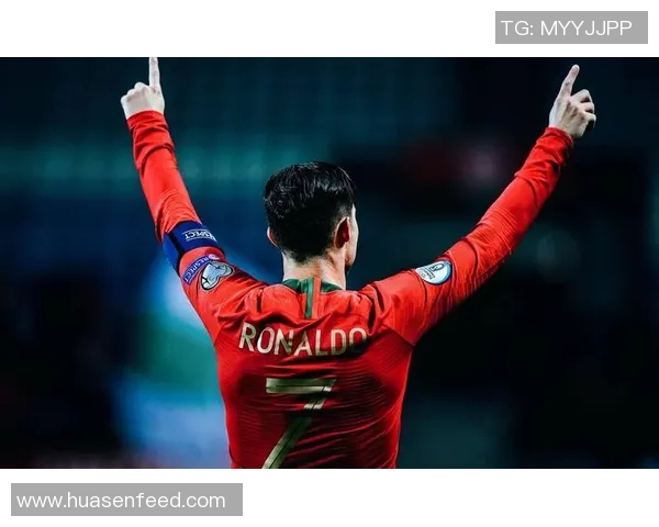 比利时足球球星数量众多 哪些球员在国际舞台上最具影响力