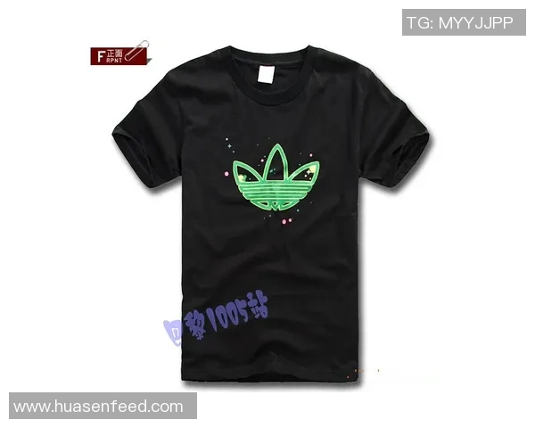 足球明星印花T恤价格分析不同品牌款式及购买建议