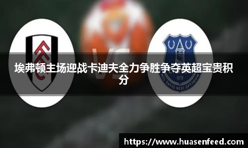 埃弗顿主场迎战卡迪夫全力争胜争夺英超宝贵积分